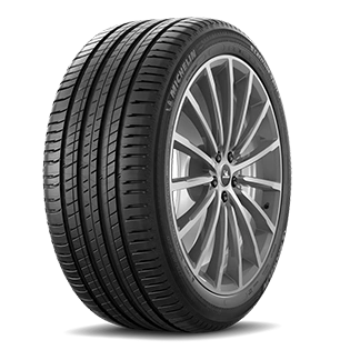 Michelin 295-35 R21